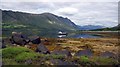 NN0939 : Pocket beach on Loch Etive south shore by Douglas Kinnaird