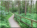 SJ9959 : Winding path by Stephen Craven