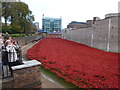 TQ3380 : Poppies at The Tower of London #3 by Richard Humphrey