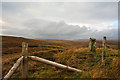 NY8616 : Boundary stone B10 on Round Hill by Trevor Littlewood