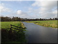 TM1678 : River Waveney at Billingford Bridge by Geographer