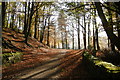 SK1790 : Autumn Colours in England by Geoffrey Tryon