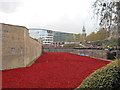 TQ3380 : Poppies at the Tower of London by Paul Bryan