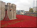 TQ3380 : Poppies at the Tower of London by Paul Bryan