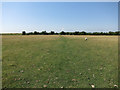 ST3782 : Path to Goldcliff Pools by Hugh Venables