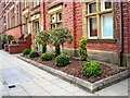 SJ9494 : Flowerbeds on Greenfield Street by Gerald England