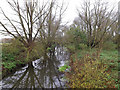 TM1478 : River Waveney off Scole Bridge by Geographer