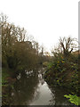 TM1478 : River Waveney off Scole Bridge by Geographer