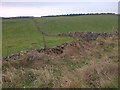 SE5284 : Field Boundary, off Back Lane by Mick Garratt