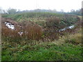 TF0905 : Historic moat and mound, Bainton, Cambridgeshire by Richard Humphrey