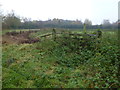 TF0905 : Gate and moat in Bainton, Cambridgeshire by Richard Humphrey