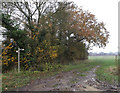 TM1582 : Footpath to Dickleburgh Road by Geographer