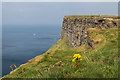 R0391 : Cliffs of Moher by Ian Capper