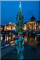 TQ3080 : Christmas Tree, Trafalgar  Square, London W1 by Christine Matthews