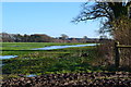 SZ3397 : Frozen puddles in field south of Pilley by David Martin