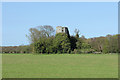 TG4514 : St.Mary's church ruins (set of 2 images) by Richard Croft