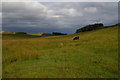 NY7868 : Valley north of Housesteads Crags, from the Pennine Way by Christopher Hilton