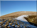  : Fenceline on Wether Hill by Alan O'Dowd