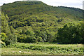 SH6515 : View towards Coed-y-garth from the lower camping fields at Graig Wen by Phil Champion