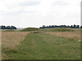 SU1142 : Tumulus group near Stonehenge  by Stephen Craven