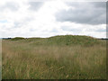 SU1142 : Tumulus group near Stonehenge  by Stephen Craven