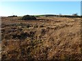 NS3778 : Remains of a boundary by Lairich Rig