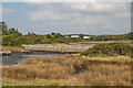 M2423 : Saltmarsh by Ian Capper