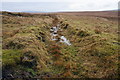 SX5777 : Prison Leat (disused) by jeff collins