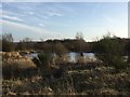 SJ8047 : Silverdale Country Park: Furnace Pool by Jonathan Hutchins