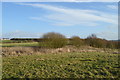 SJ8047 : Silverdale Country Park: Waste Farm by Jonathan Hutchins