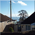 SX9474 : A glimpse of the sea past Orchard Cottage, 21 Alta Vista Close, Dawlish by Robin Stott