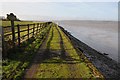 ST6498 : The Severn Way near Severn House Farm by Philip Halling