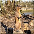 SD5229 : Otter Carving, Higher Penwortham by David Dixon