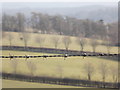 SU0417 : Pentridge: barbed wire alongside the bridleway by Chris Downer