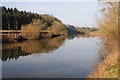 SO8444 : The River Severn below Cliffey Wood by Philip Halling