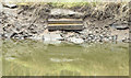 J3470 : Old steps, River Lagan, Belfast (February 2015) by Albert Bridge