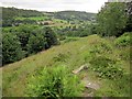 SE0928 : Calderdale Way in Shibden Dale by Derek Harper