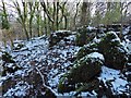 NS3878 : Limestone outcrops in Craigandro Wood by Lairich Rig