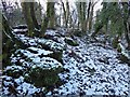 NS3878 : Limestone outcrops in Craigandro Wood by Lairich Rig