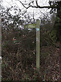 TL6003 : Footpath sign off Fingrith Hall Lane by Geographer