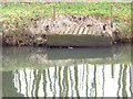 SP2965 : Calibrating the Avon, Warwick, 1  the fishing peg on the opposite bank by Robin Stott