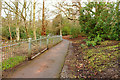 NS3319 : Footpath at Rozelle Pond by Billy McCrorie