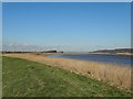 SE8516 : The River Trent near Mere Dyke by Neil Theasby