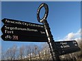 NZ3066 : Cycle Route Sign in Wallsend by Andrew Tryon