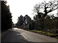 TM2951 : B1438 Yarmouth Road & footpath by Geographer