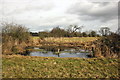 SJ4152 : Pond near Holt by Jeff Buck