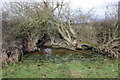 SJ4152 : Waterlogged corner of a field by Jeff Buck