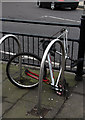 TQ2994 : Abandoned bike by John Salmon