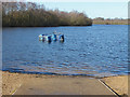 SU8162 : Horseshoe Lake, Yateley by Alan Hunt