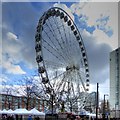 SJ8498 : Piccadilly Wheel by David Dixon